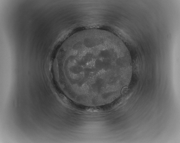 X0000113070742200908281154