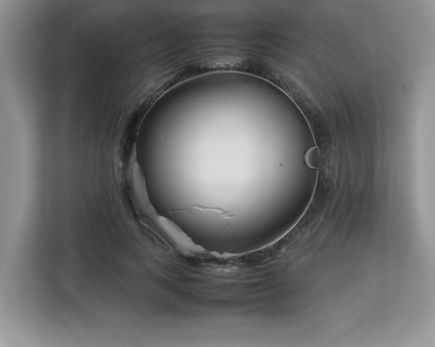 X0000113070743200908281154