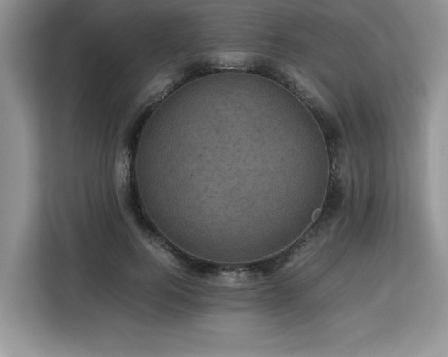X0000113070744200908281154