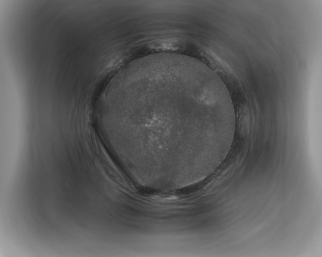 X0000113070747200908281154
