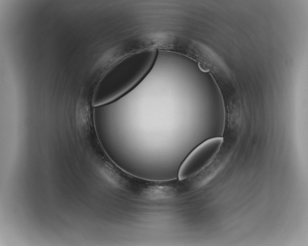 X0000113070748200908281154