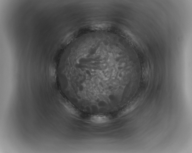 X0000113070749200908281154