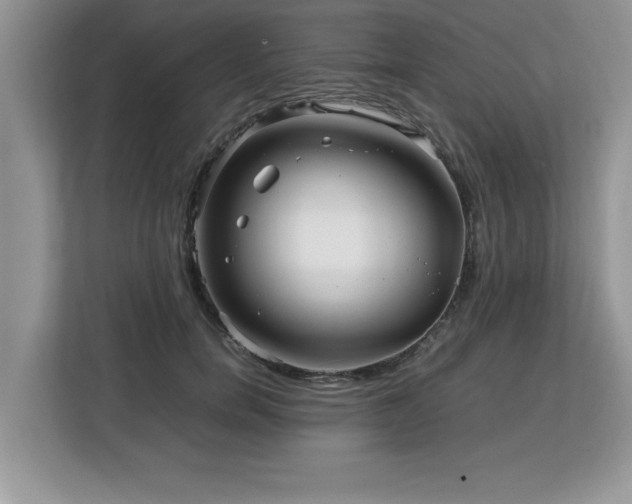 X0000113070750200908281154