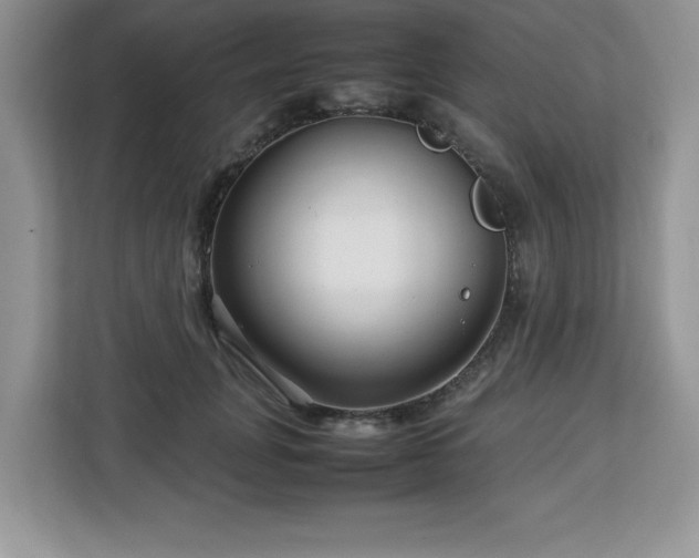 X0000113070751200908281154