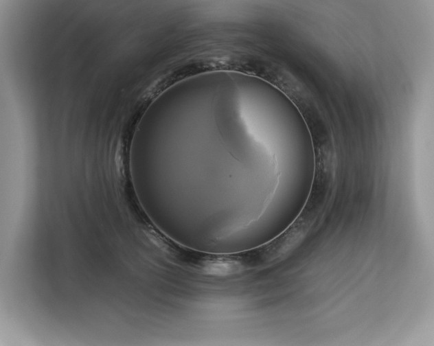 X0000113070754200908281154