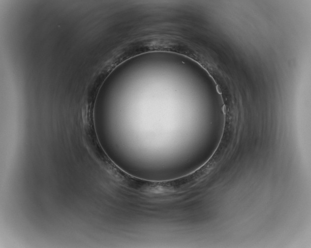 X0000113070755200908281154
