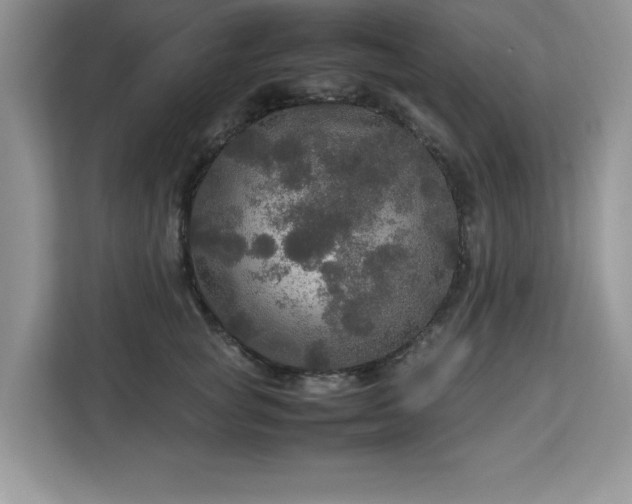 X0000113070757200908281154