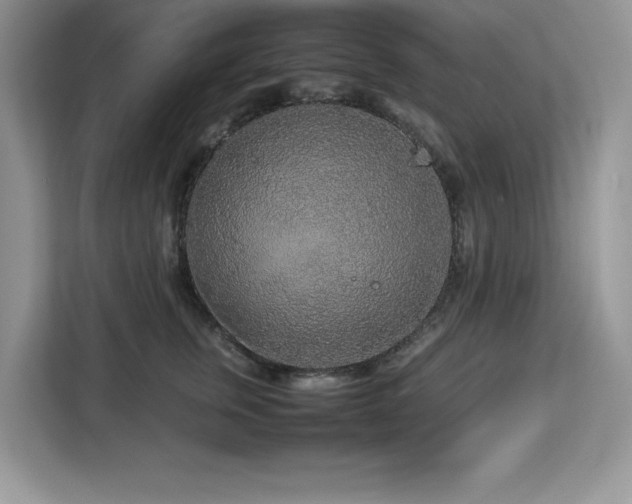 X0000113070759200908281154