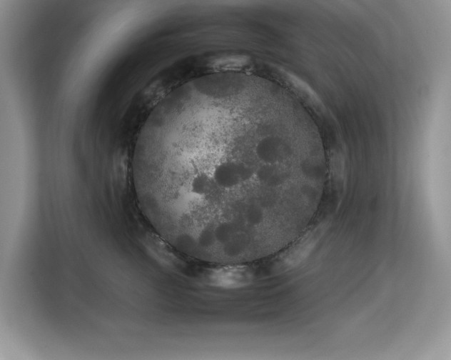 X0000113070761200908281154