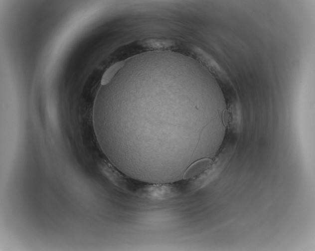X0000113070762200908281154