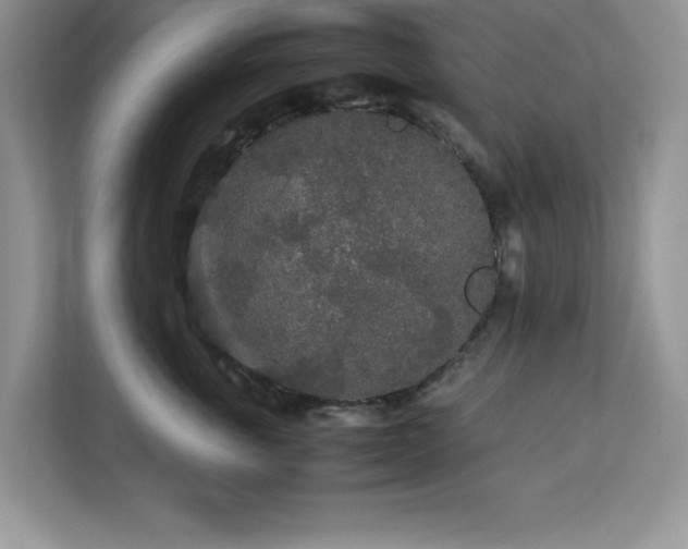 X0000113070763200908281154