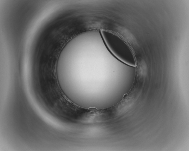X0000113070764200908281154