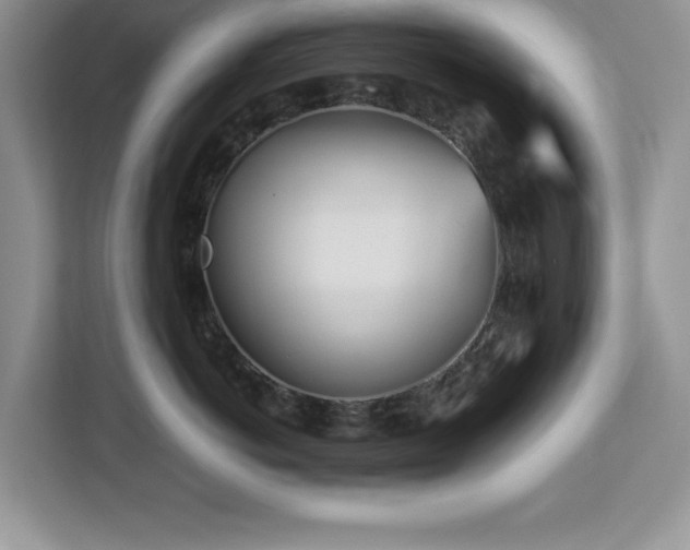 X0000113070766200908281154