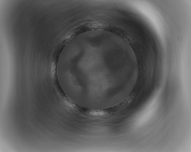 X0000113070767200908281154