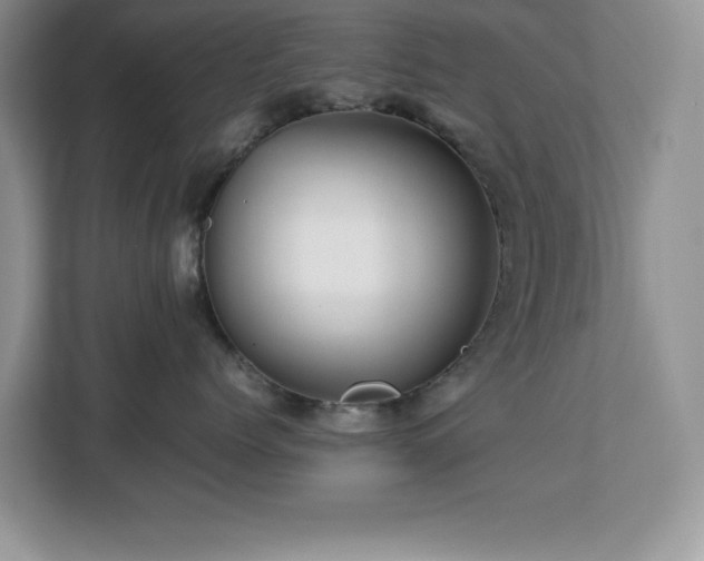 X0000113070768200908281154