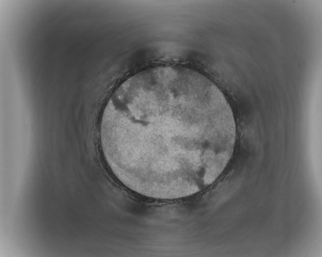 X0000113070769200908281153