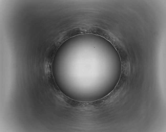 X0000113070770200908281153