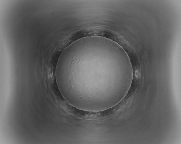 X0000113070771200908281153