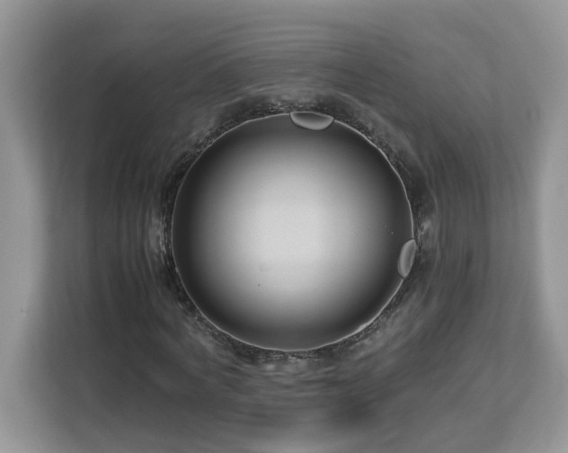 X0000113070772200908281153
