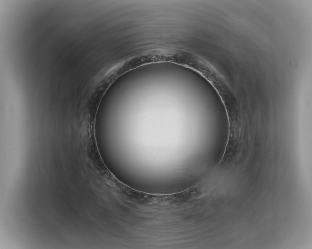 X0000113070773200908281153