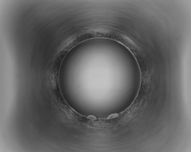 X0000113070774200908281153