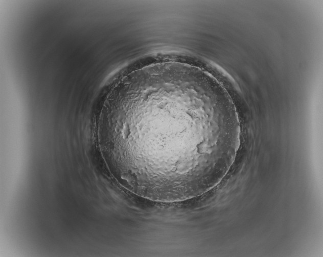 X0000113070775200908281153