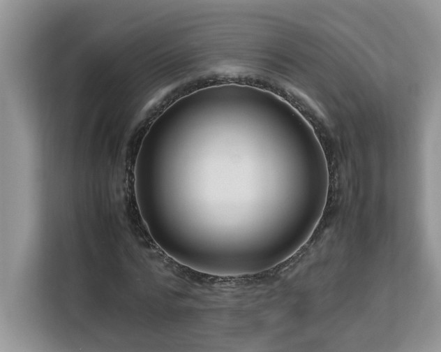 X0000113070776200908281153