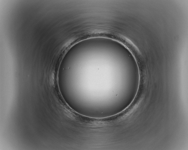 X0000113070777200908281153
