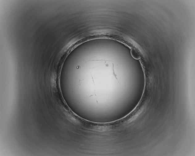 X0000113070778200908281153