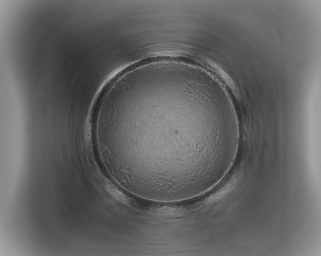 X0000113070779200908281153