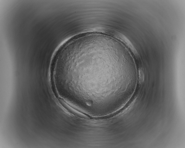 X0000113070780200908281153