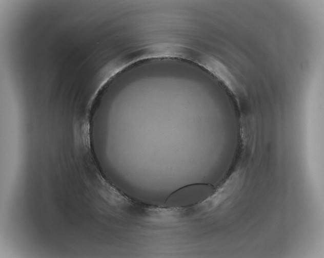 X0000113070781200908281153