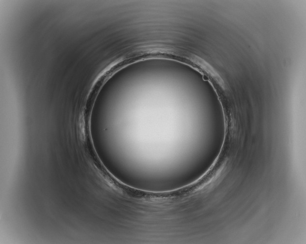 X0000113070782200908281153