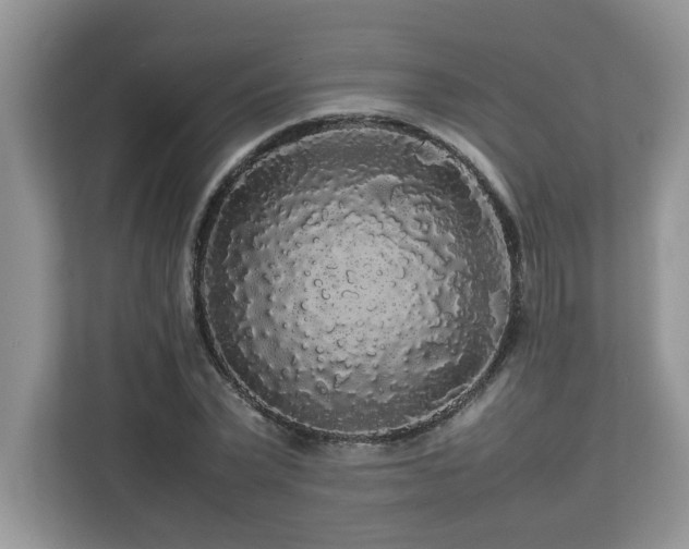 X0000113070783200908281153