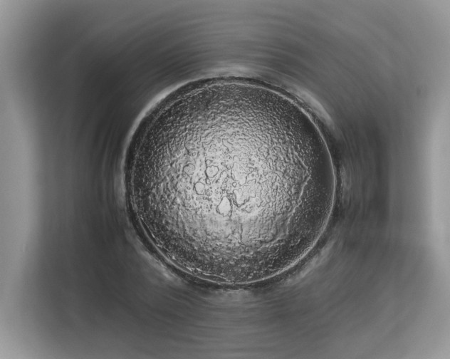 X0000113070784200908281153