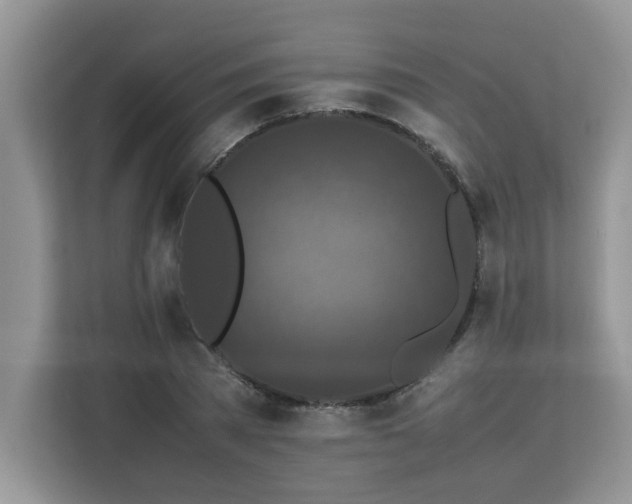 X0000113070785200908281153