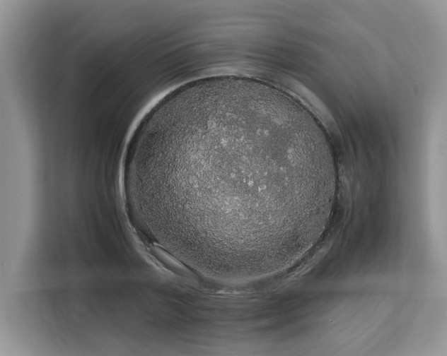 X0000113070788200908281153