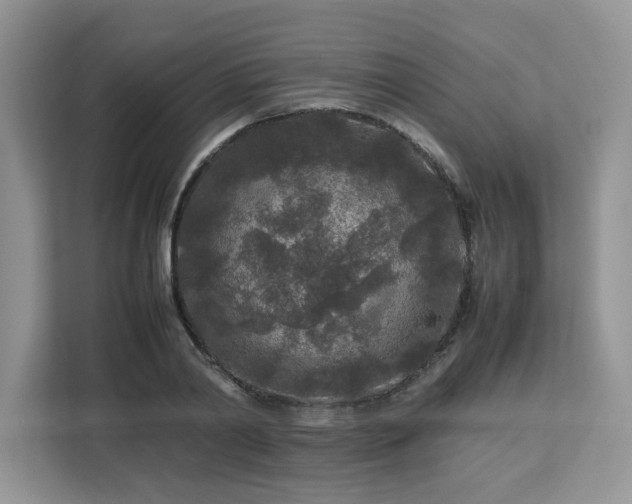 X0000113070790200908281153
