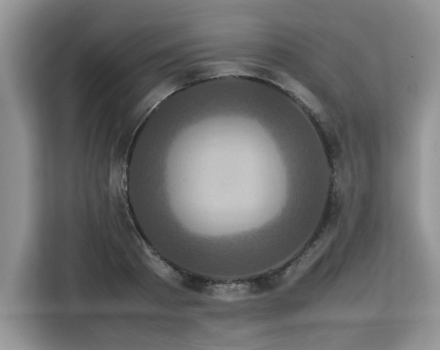 X0000113070793200908281153