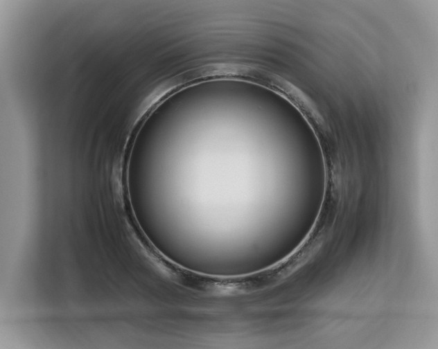 X0000113070794200908281153