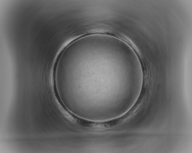 X0000113070795200908281153