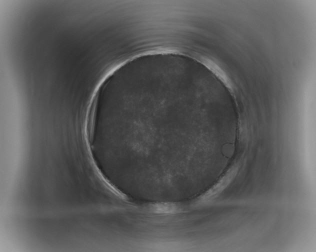 X0000113070797200908281153