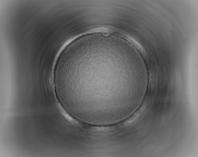 X0000113070800200908281153
