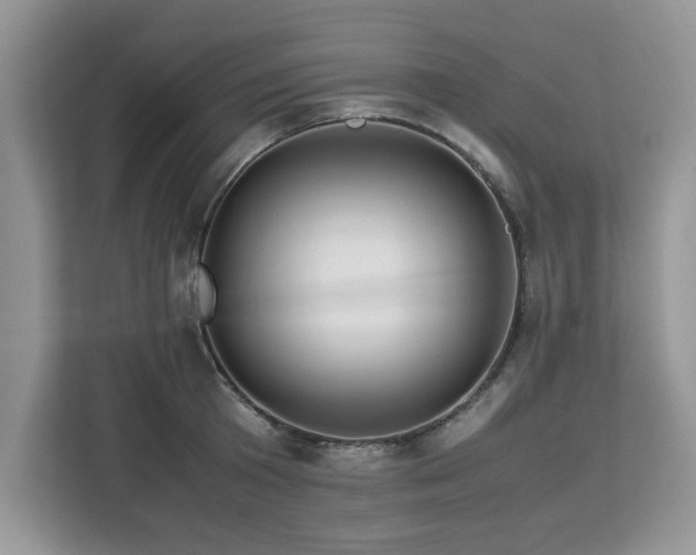 X0000113070801200908281153