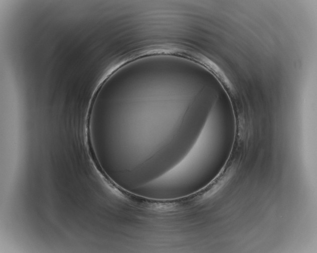 X0000113070802200908281153