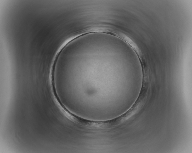 X0000113070803200908281153