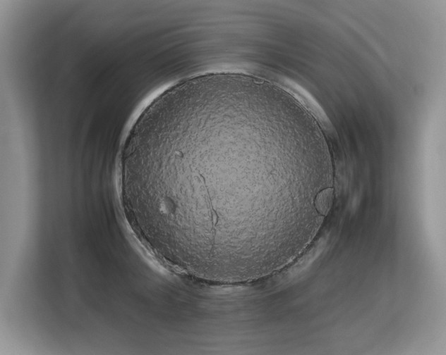 X0000113070804200908281153