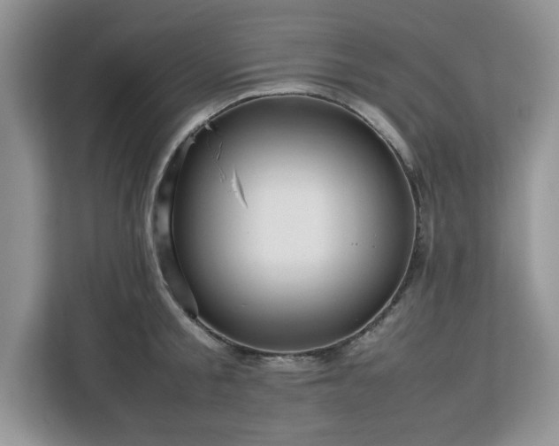 X0000113070805200908281153