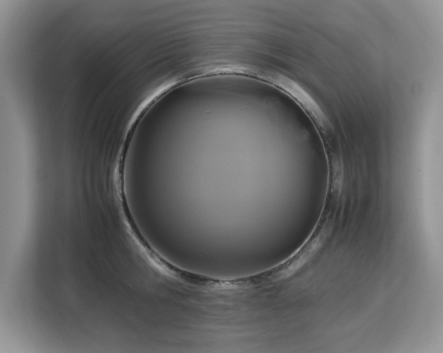 X0000113070806200908281153