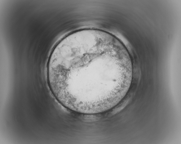 X0000113070807200908281153
